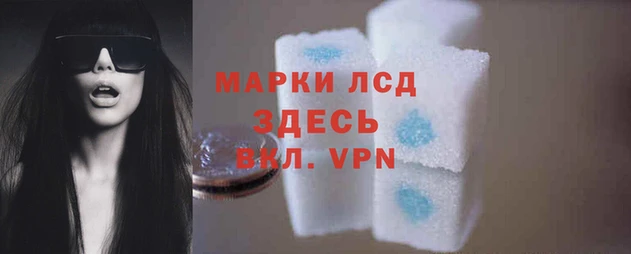 стафф Алзамай