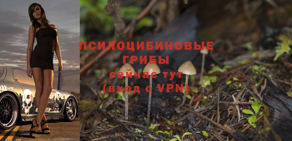 ГАЛЛЮЦИНОГЕННЫЕ ГРИБЫ Алексин