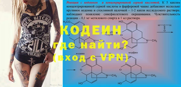 ГАЛЛЮЦИНОГЕННЫЕ ГРИБЫ Алексин