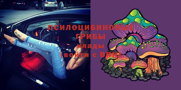 стафф Алзамай